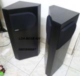 LOA BOSE 401